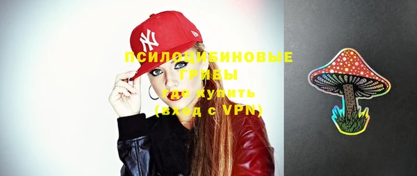 spice Бородино