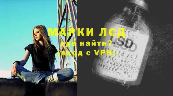 spice Бородино