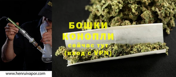spice Бородино