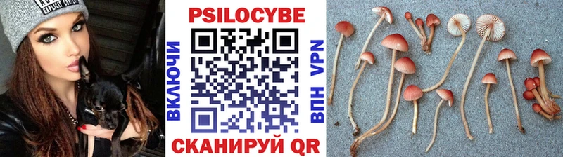 Псилоцибиновые грибы Cubensis  Прокопьевск 