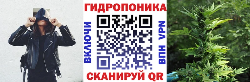 Конопля SATIVA & INDICA  цена   Прокопьевск 